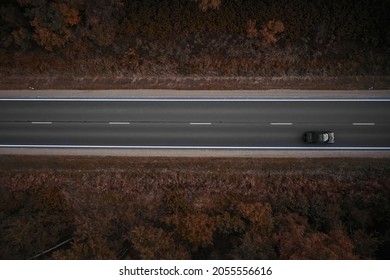 Pine forest from above, fall season, forest road.