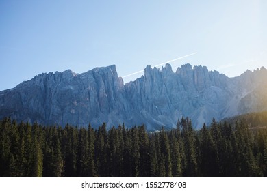 Pine Forest and Alpine Mountain Range