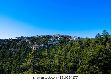 Pine forest and summit of mount Monadnock