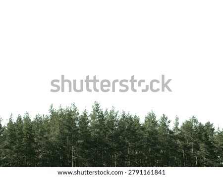 Pine forest treeline is isolated.