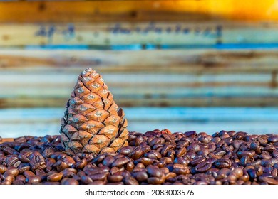 Pine fruit and coffee beans