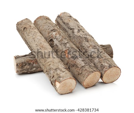 Pine logs on white background