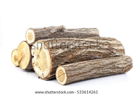 Pine logs on white background. Studio photo.
Split wood. Oak tree for winter time heating. Cross section of tree trunk.Firewood ready for burning in winter season.