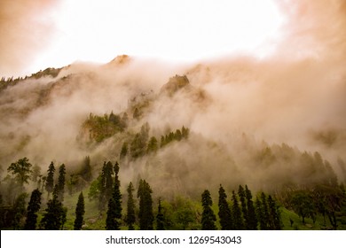 pine mountain range in with some clouds touching it.dense clouds touching pine forests.