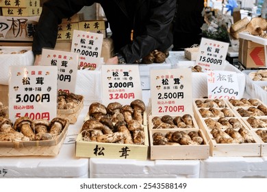 Pine mushrooms for sale in wooden boxes at Tsukiji Outer Market in Chuo - Tokyo, Japan [signs in Japanese kanji reading: “Product of China”, “Matsutake mushrooms”] - Powered by Shutterstock