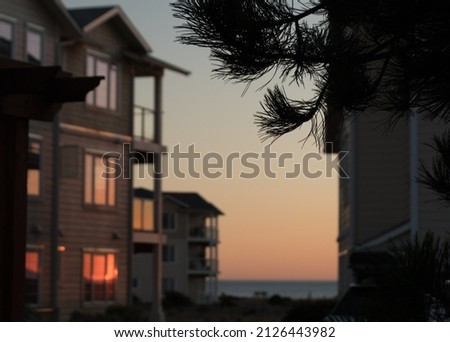 Pine needles frame glowing sunset behind a  condo building near Westport Light State Park
