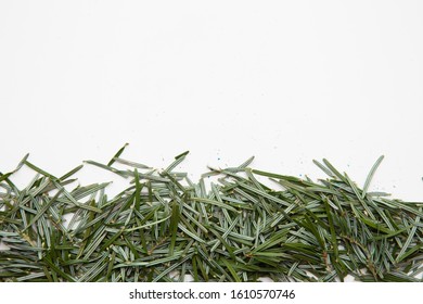 Pine Needles On A White Background Cleaning Up After Christmas Holiday