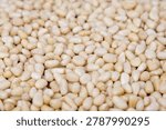Pine nuts background. Close up of raw pine nuts background.