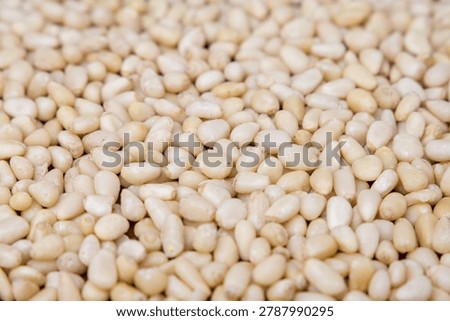 Pine nuts background. Close up of raw pine nuts background.