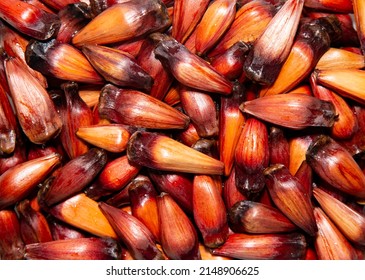 Pine Nuts Fruit Of The Brazilian Pine Tree ( Araucaria Angustifolia )in Full Frame Top View. 