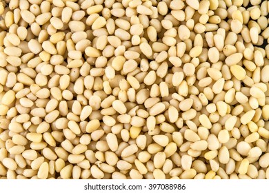 pine nuts, pinenuts background