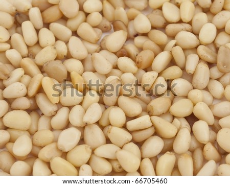 Pine nuts texture, closeup