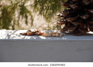 Pine nuts from a pine tree pine cone with forest in the background.
