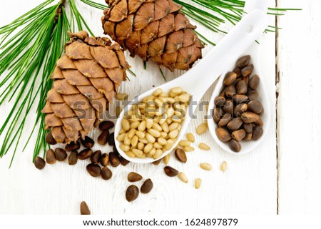 Pine nuts in two spoons, two cedar cones and green branches on a wooden board background from above