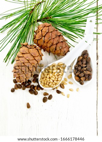Pine nuts in two spoons, two cedar cones and green branches on the background of a light wooden board from above