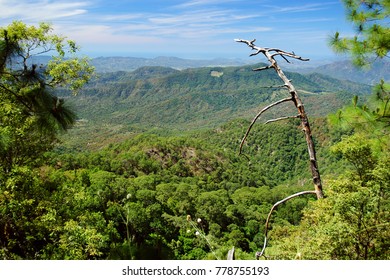 444 Manzanillo colima Images, Stock Photos & Vectors | Shutterstock