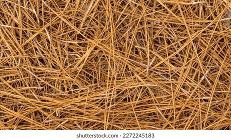 Pine Straw with Twigs Background