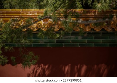Pine tree against red wall. Beijing, China