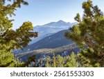 Pine tree alpine forest, mountains and snow valley of Rocky Mountain National Park Colorado view. Photo taken on a clear blue sky day	