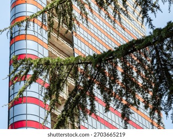 pine tree branch and skyscraper under construction in background in Batumi city, Georgia on sunny summer day