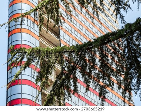 pine tree branch and skyscraper under construction in background in Batumi city, Georgia on sunny summer day