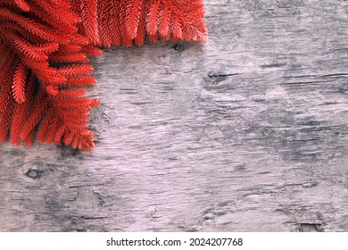 Pine tree branches on an old wooden board banner