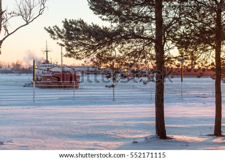 Pine tree branches and ship tanker in the river ice. Frosty day
