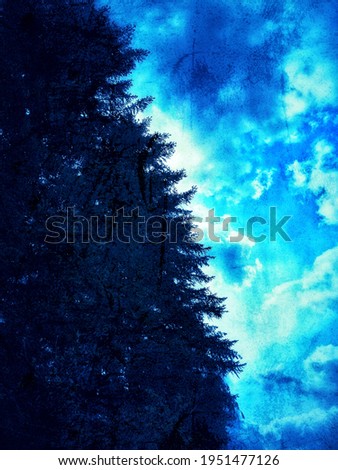 Similar – Image, Stock Photo Christmas tree Environment