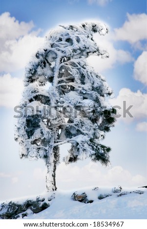 Similar – Foto Bild Erogene Zone Natur Himmel