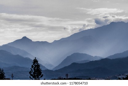 Pine Tree With A Falcon At The Top Looking Towards Farallones Mountains. Cali, Colombia.