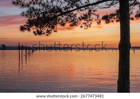 Pine tree frames old wooden posts as leading line to sunset off Everett in Possession Sound Washington State
