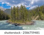 Pine Tree Island by the Sunwapta Falls in summer, Jasper national park, Canada.