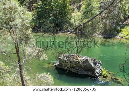 Pine tree limbs in front of fast flowing green Trinity river in Northern California with rock in the middle and other bank in background - selective focus