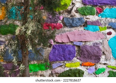 Pine tree on background of colored painted stone wall 