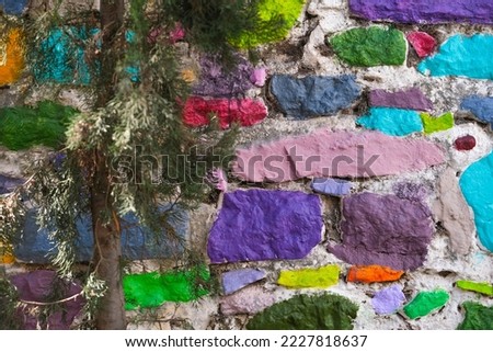 Pine tree on background of colored painted stone wall 