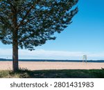 PIne tree on sunny, empty Nallikari beach in Oulu, Finland