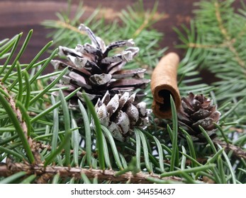 pine tree on table