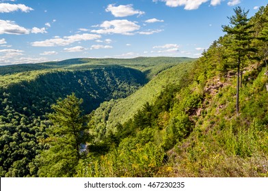 102 Pennsylvania forest pine creek gorg Images, Stock Photos & Vectors ...