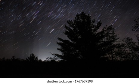 A Pine Tree With Star Trails Behind It Taken At Torrance Barrens Dark Sky Preserve