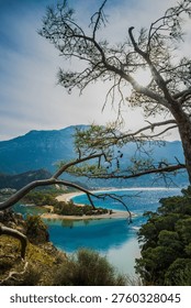 Pine Tree Sun Flare Frames Oludeniz Blue Lagoon Turkey.