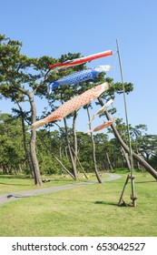 Pine trees and Carp streamer