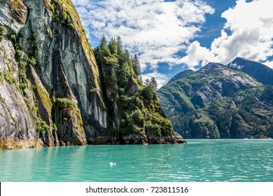 Pine trees climb upward along a sheer granite cliff wall along Tracy Arm Fjord in Alaska. - Shutterstock ID 723811516
