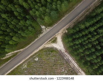 Pine Trees At A Cross Road From Above In Australian Forest Aerial Drone Background