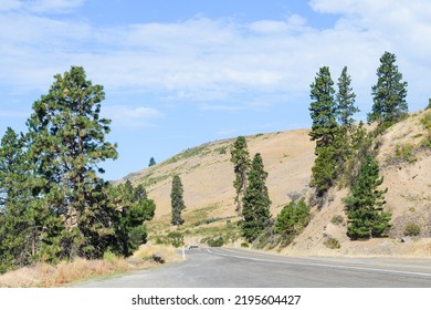 Pine Trees Dot The Side Of State Route 10 Near Cle Elum Washington As The Road Passes Dry Hillsides