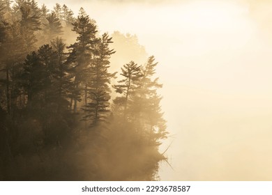 Pine trees in early morning sunlight and fog on a boundary waters lake in northern Minnesota