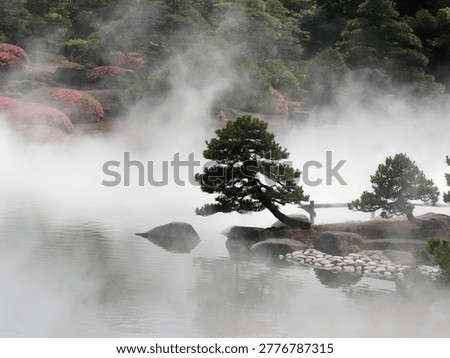 Pine trees floating in the mist at Yushien Garden, Shimane Prefecture