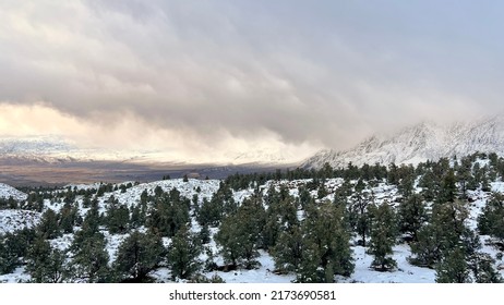 Pine Trees In Foreground With Valley And Snow Covered Mountains Behind, Low Clouds Overhead, On A Cold, Winter's Day, Near Bishop, California