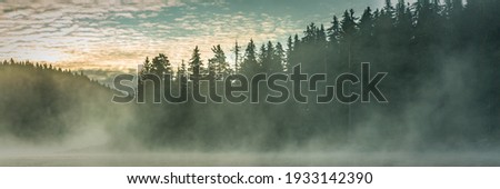 Pine trees forest stylized silhouette photo sunset sunrise banner background with clouds and lake