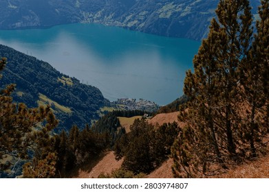 Pine trees frame a dizzying drop to Lake Lucerne’s turquoise waters far below, a lakeside village nestled between steep forested slopes.