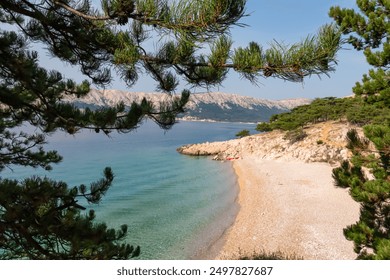 Pine trees framing secluded idyllic beach Mali Raj with crystal clear turquoise Adriatic sea in Baska, Krk Otok, Primorje-Gorski Kotar, Croatia. Shoreline of cliffs and mountains. Serene coastal scene